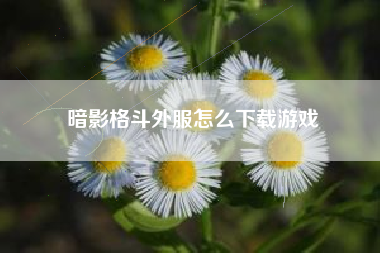 暗影格斗外服怎么下载游戏