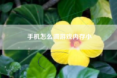 手机怎么调游戏内存小