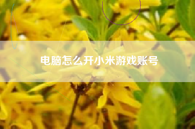 电脑怎么开小米游戏账号