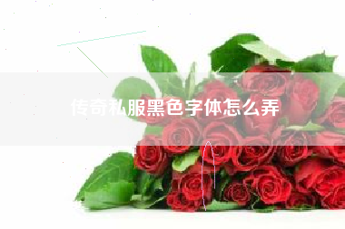 传奇私服黑色字体怎么弄