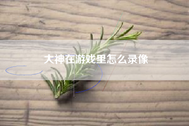 大神在游戏里怎么录像