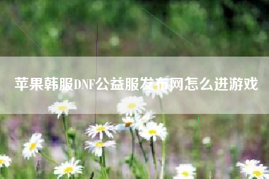 苹果韩服DNF公益服发布网怎么进游戏