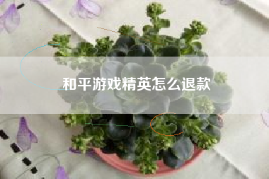 和平游戏精英怎么退款