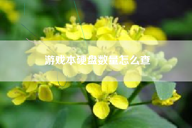 游戏本硬盘数量怎么查