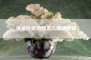 谁是卧底游戏怎么描述词语