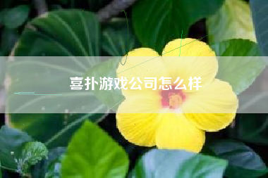 喜扑游戏公司怎么样