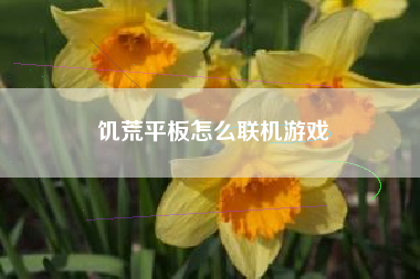 饥荒平板怎么联机游戏