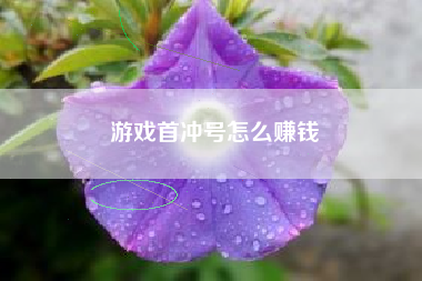 游戏首冲号怎么赚钱