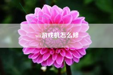 wii游戏机怎么修