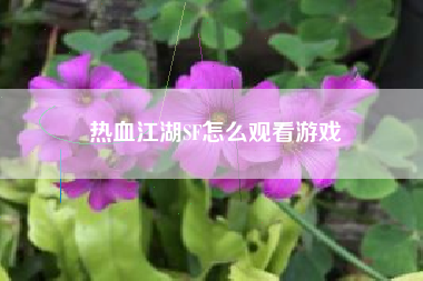 热血江湖SF怎么观看游戏