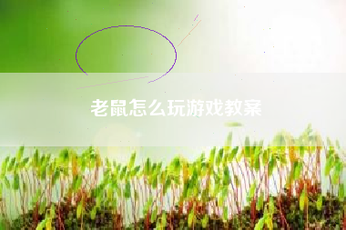 老鼠怎么玩游戏教案