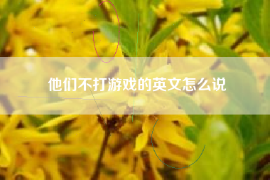 他们不打游戏的英文怎么说