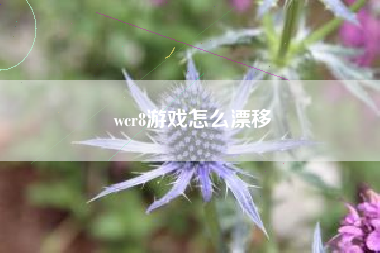 wcr8游戏怎么漂移