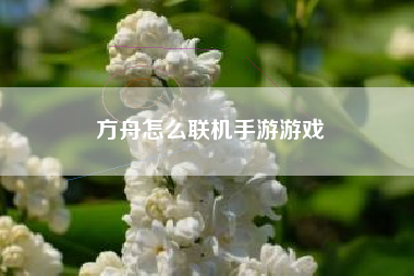 方舟怎么联机手游游戏