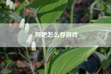 网吧怎么存游戏