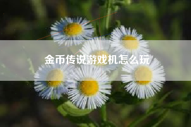 金币传说游戏机怎么玩