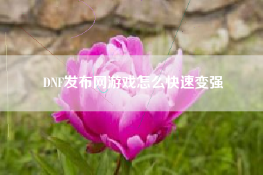 DNF发布网游戏怎么快速变强