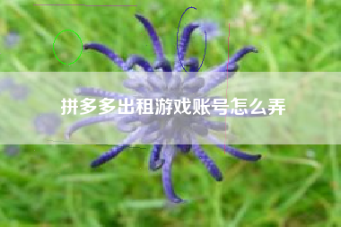 拼多多出租游戏账号怎么弄