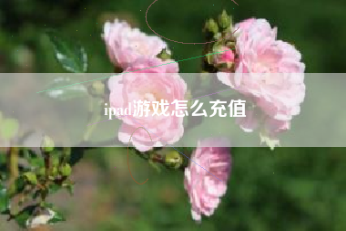 ipad游戏怎么充值