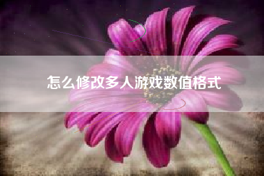 怎么修改多人游戏数值格式