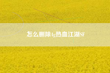 怎么删除4g热血江湖SF