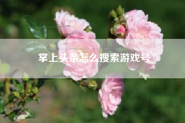 掌上头条怎么搜索游戏号