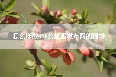 怎么样做DNF公益服发布网的糖饼