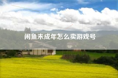 闲鱼未成年怎么卖游戏号