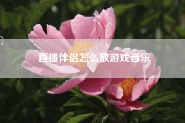 直播伴侣怎么放游戏音乐