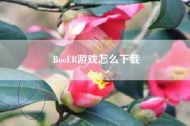 BooER游戏怎么下载