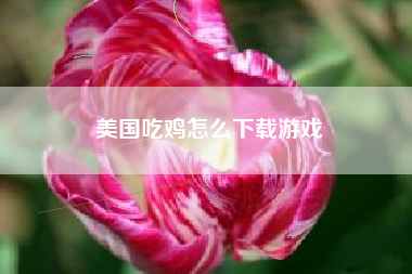 美国吃鸡怎么下载游戏