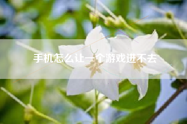 手机怎么让一个游戏进不去