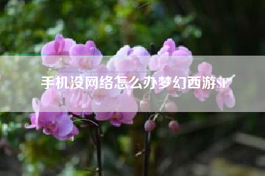 手机没网络怎么办梦幻西游SF
