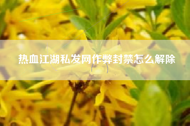 热血江湖私发网作弊封禁怎么解除