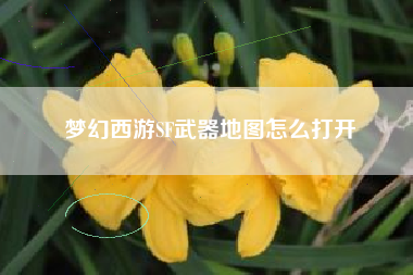 梦幻西游SF武器地图怎么打开