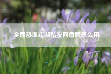 全面热血江湖私发网盾牌怎么用