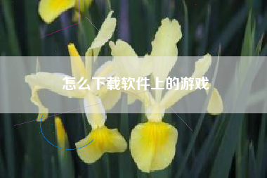 怎么下载软件上的游戏