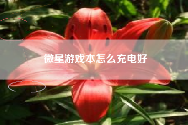 微星游戏本怎么充电好
