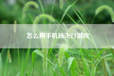 怎么用手机玩飞行游戏
