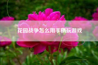 花园战争怎么用手柄玩游戏