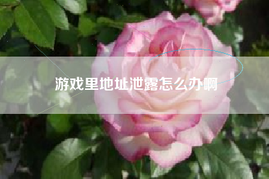 游戏里地址泄露怎么办啊