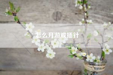 怎么开游戏插针