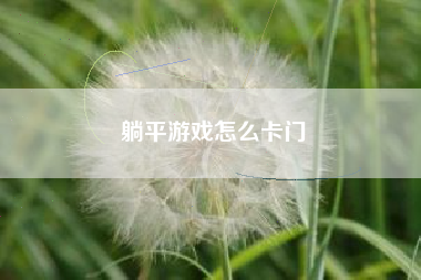 躺平游戏怎么卡门
