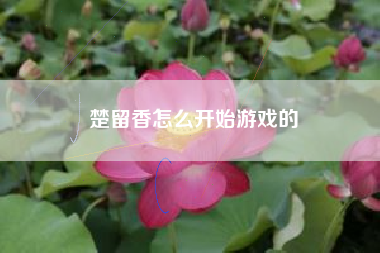 楚留香怎么开始游戏的