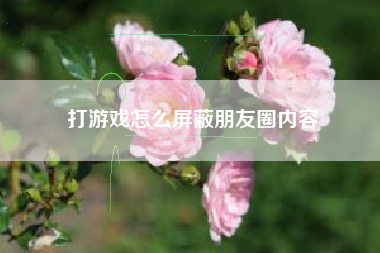 打游戏怎么屏蔽朋友圈内容