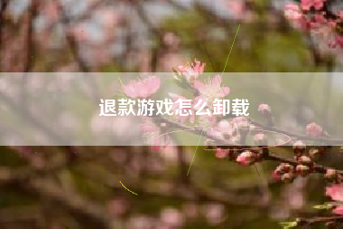 退款游戏怎么卸载