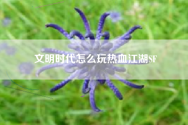 文明时代怎么玩热血江湖SF