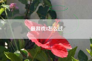 最游戏8怎么过