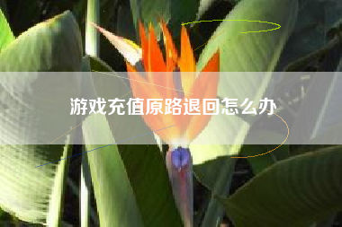 游戏充值原路退回怎么办