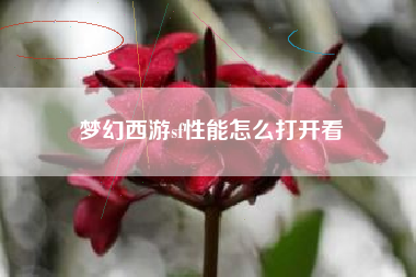梦幻西游sf性能怎么打开看